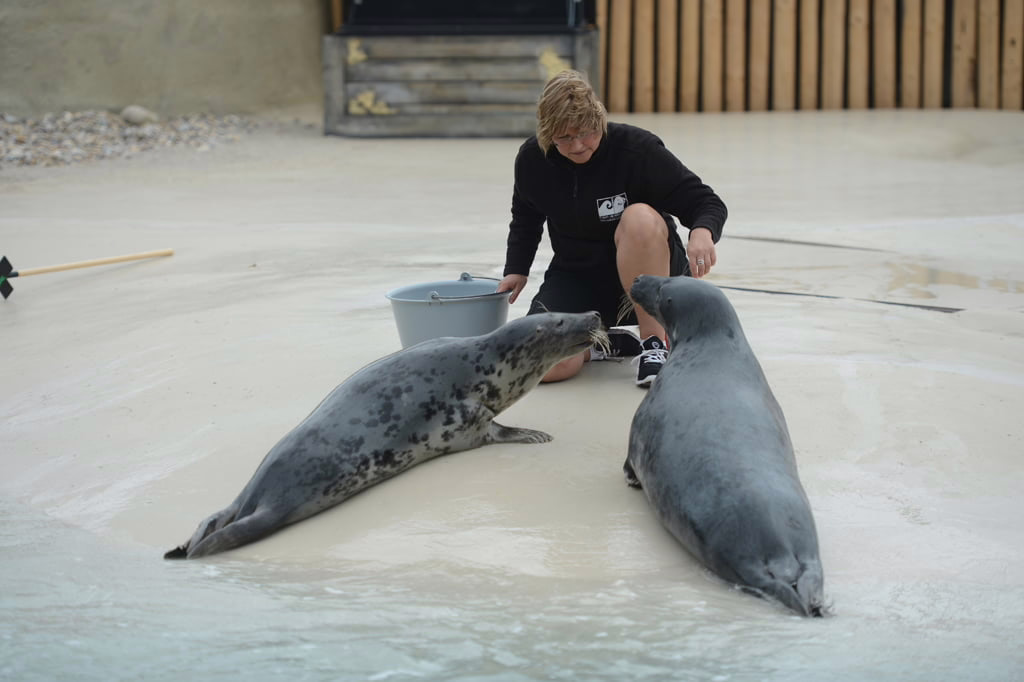 Epoxymaling i bassin