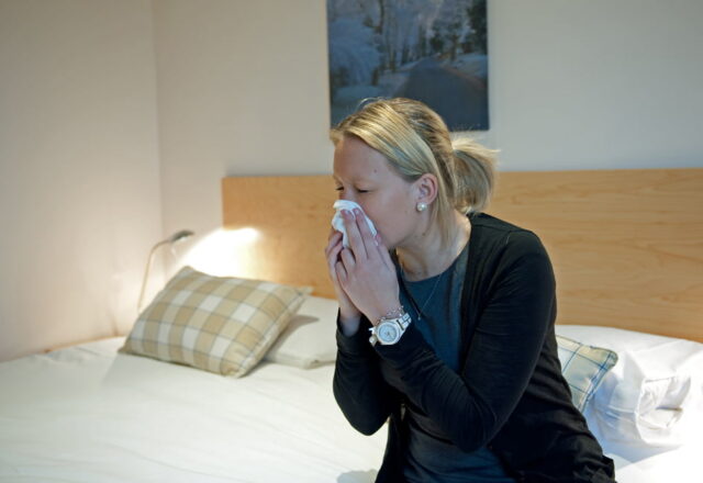 Diessner CleanAir: Allergivenlig Maling til Dit Hjem